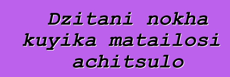 Dzitani nokha kuyika matailosi achitsulo