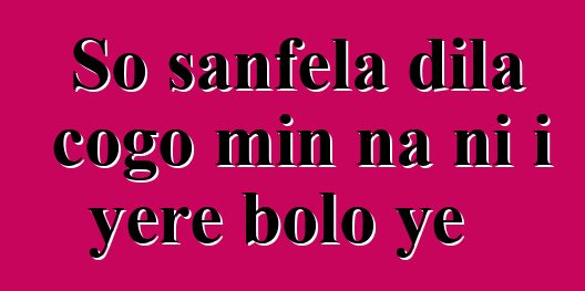 So sanfɛla dila cogo min na ni i yɛrɛ bolo ye