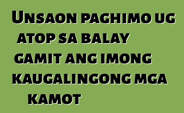 Unsaon paghimo ug atop sa balay gamit ang imong kaugalingong mga kamot