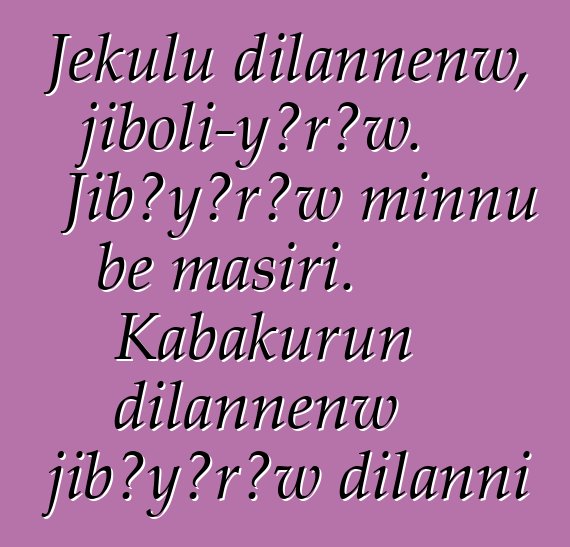 Jɛkulu dilannenw, jiboli-yɔrɔw. Jibɔyɔrɔw minnu bɛ masiri. Kabakurun dilannenw jibɔyɔrɔw dilanni