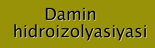 Damın hidroizolyasiyası