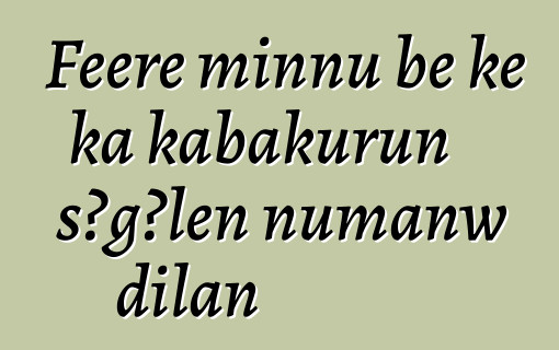 Fɛɛrɛ minnu bɛ kɛ ka kabakurun sɔgɔlen ɲumanw dilan