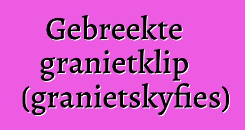 Gebreekte granietklip (granietskyfies)