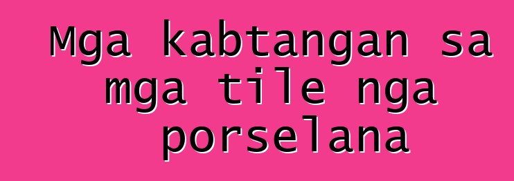 Mga kabtangan sa mga tile nga porselana