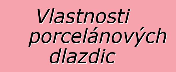 Vlastnosti porcelánových dlaždic