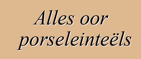 Alles oor porseleinteëls