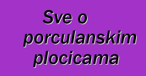 Sve o porculanskim pločicama