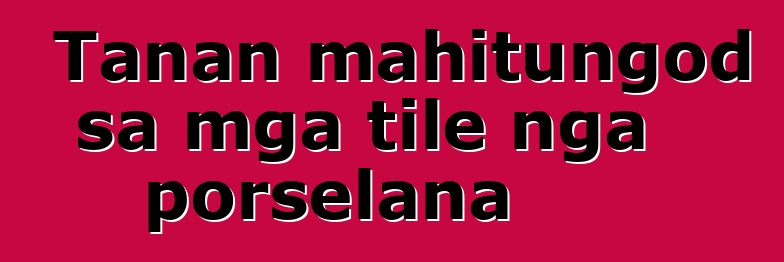 Tanan mahitungod sa mga tile nga porselana