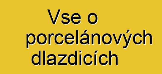 Vše o porcelánových dlaždicích