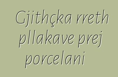 Gjithçka rreth pllakave prej porcelani