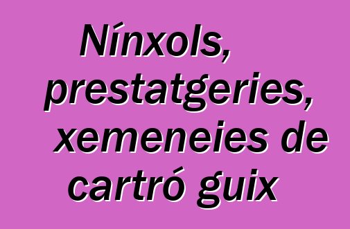 Nínxols, prestatgeries, xemeneies de cartró guix