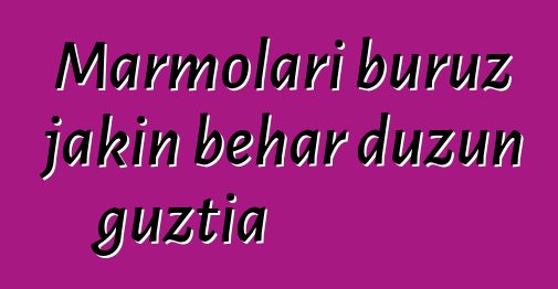 Marmolari buruz jakin behar duzun guztia