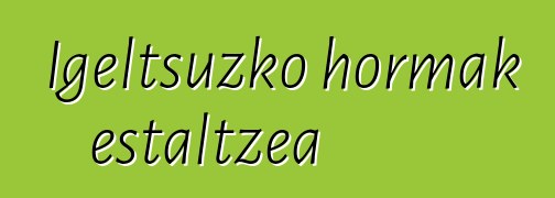 Igeltsuzko hormak estaltzea