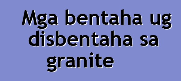 Mga bentaha ug disbentaha sa granite