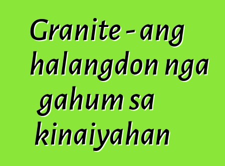 Granite - ang halangdon nga gahum sa kinaiyahan