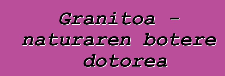 Granitoa - naturaren botere dotorea