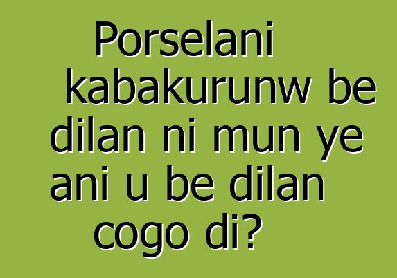 Porselani kabakurunw bɛ dilan ni mun ye ani u bɛ dilan cogo di?