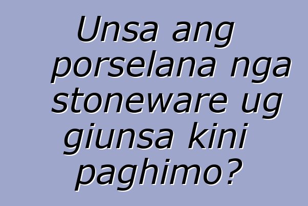 Unsa ang porselana nga stoneware ug giunsa kini paghimo?