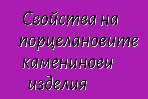 Свойства на порцелановите каменинови изделия