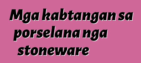 Mga kabtangan sa porselana nga stoneware