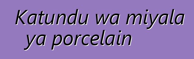 Katundu wa miyala ya porcelain