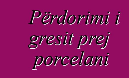 Përdorimi i gresit prej porcelani