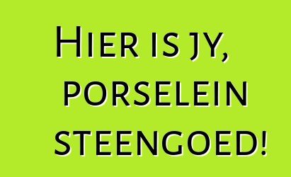 Hier is jy, porselein steengoed!