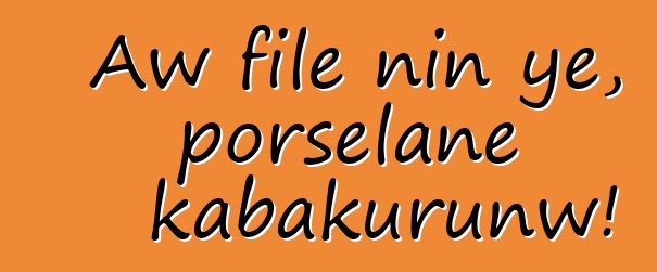 Aw filɛ nin ye, porselanɛ kabakurunw!