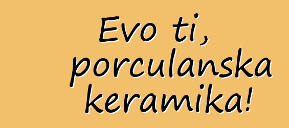 Evo ti, porculanska keramika!