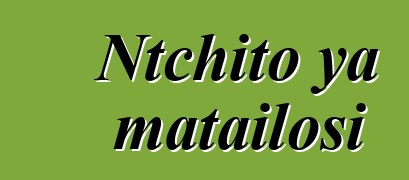 Ntchito ya matailosi