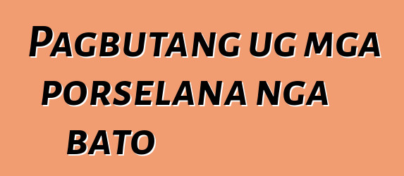 Pagbutang ug mga porselana nga bato