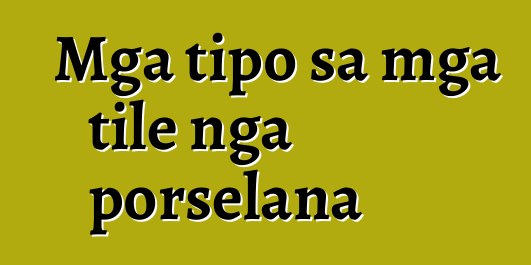 Mga tipo sa mga tile nga porselana