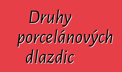 Druhy porcelánových dlaždic