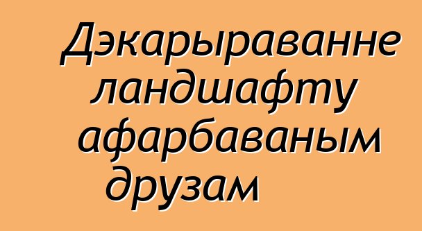 Дэкарыраванне ландшафту афарбаваным друзам