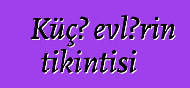 Küçə evlərin tikintisi