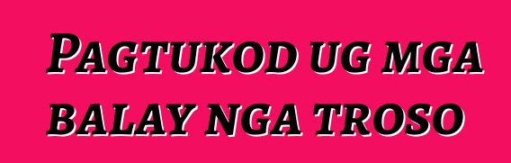 Pagtukod ug mga balay nga troso