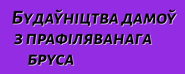 Будаўніцтва дамоў з прафіляванага бруса