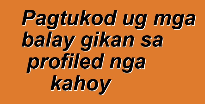 Pagtukod ug mga balay gikan sa profiled nga kahoy