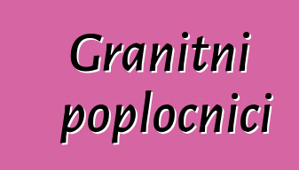 Granitni popločnici