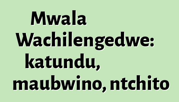 Mwala Wachilengedwe: katundu, maubwino, ntchito