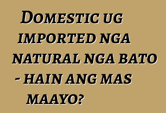 Domestic ug imported nga natural nga bato - hain ang mas maayo?