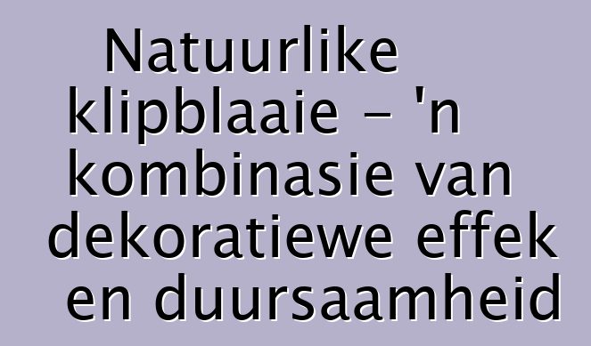 Natuurlike klipblaaie - 'n kombinasie van dekoratiewe effek en duursaamheid