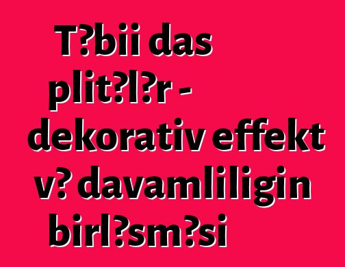 Təbii daş plitələr - dekorativ effekt və davamlılığın birləşməsi