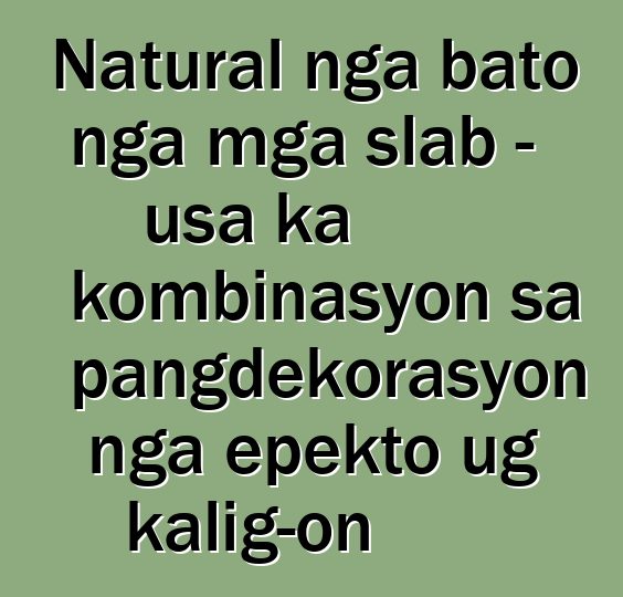 Natural nga bato nga mga slab - usa ka kombinasyon sa pangdekorasyon nga epekto ug kalig-on