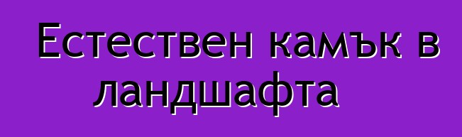 Естествен камък в ландшафта