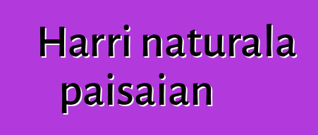 Harri naturala paisaian