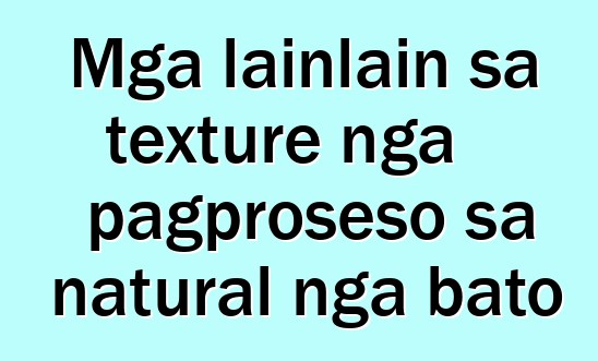 Mga lainlain sa texture nga pagproseso sa natural nga bato