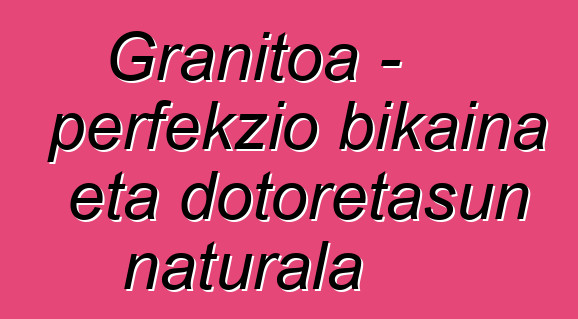 Granitoa – perfekzio bikaina eta dotoretasun naturala