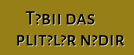 Təbii daş plitələr nədir