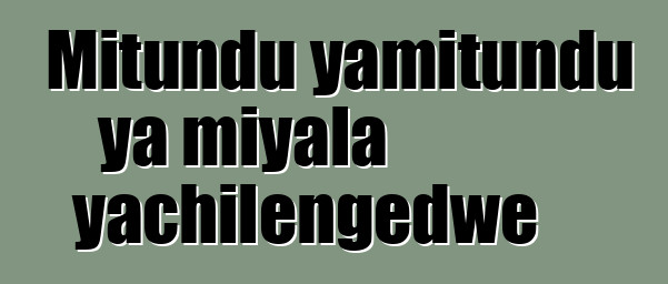 Mitundu yamitundu ya miyala yachilengedwe